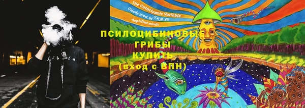 ECSTASY Лиски