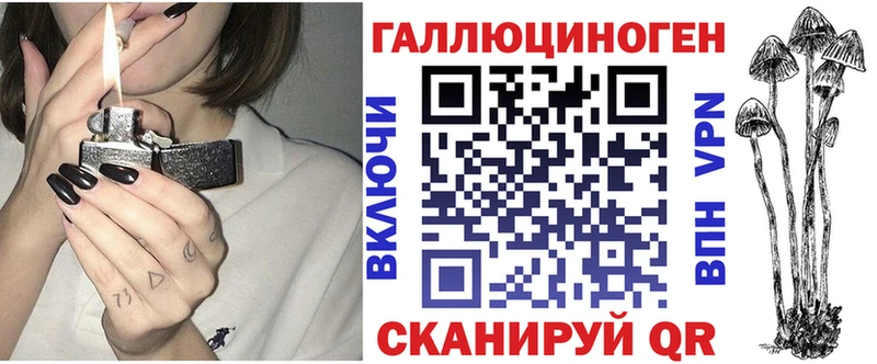 как найти закладки  Райчихинск  Псилоцибиновые грибы Cubensis 